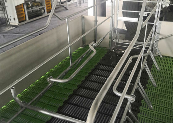 جودة  Fabricated Prefab Steel Structure Pig House Galvanised Industrial مصنع