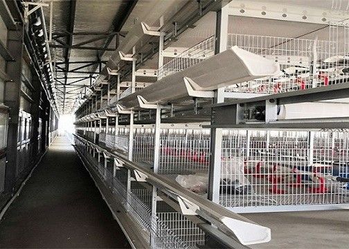 OEM / ODM الهيكل الصلب مزرعة الدواجن طبقة الجاهزة بيت الدجاج