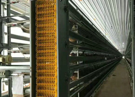 Q235B / Q355B الهيكل الصلب مزرعة بيت الدجاج حريق GB