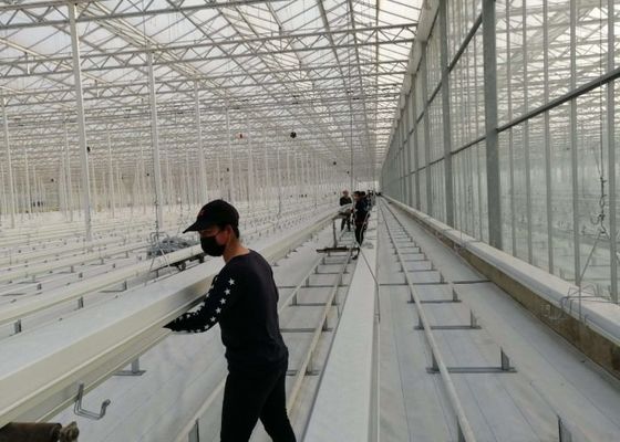 الدفيئة الزجاجية من دامان فينلو للزراعة الجماعية للطماطم بالغمس الساخن المجلفن