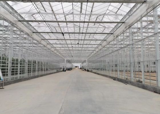 Green Plant Garden خفف من الزجاج المسببة للاحتباس الحراري لزهور الزينة الكبيرة