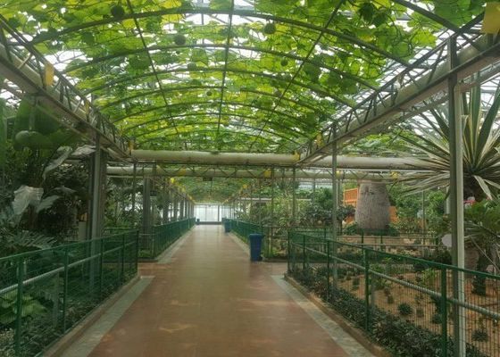 عالية الجودة فينلو الزجاج الدفيئة الأنابيب المجلفنة التجارية