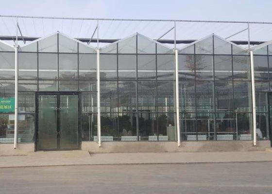 عالية الجودة فينلو الزجاج الدفيئة الأنابيب المجلفنة التجارية