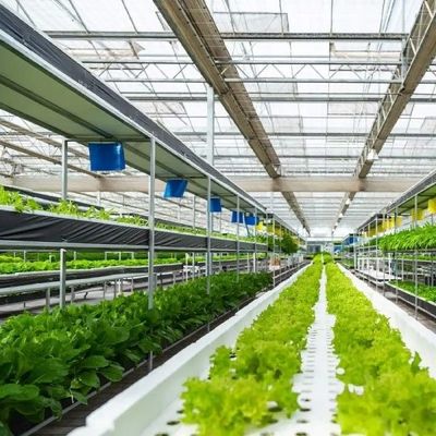 زراعة الخضروات ثقافة الزجاج بدون تربة زراعة متعددة الطبقات