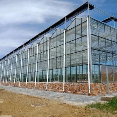 زراعة الخضروات ثقافة الزجاج بدون تربة زراعة متعددة الطبقات