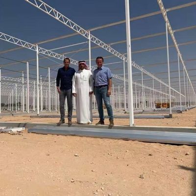زراعة الخضروات ثقافة الزجاج بدون تربة زراعة متعددة الطبقات