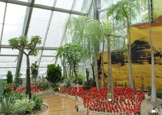 غرفة الشتاء حديقة ضوء الشمس صغيرة الصلب زجاج Venlo دفيئة خلفية