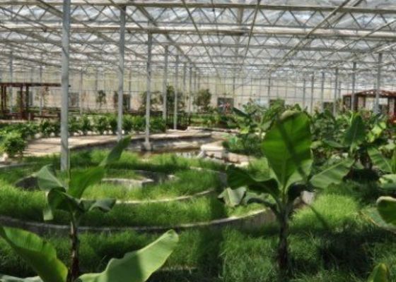 الأنبوب المجلفن لمشاهدة معالم المدينة مطعم الدفيئة على شكل مخصص 4600㎡