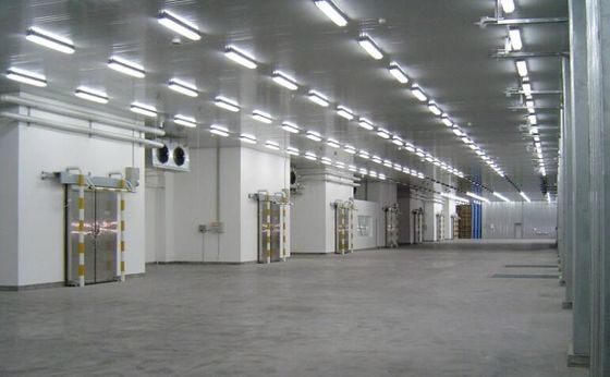 العزل الاختياري الهيكل الفولاذي مستودع مع حائط ورق الفولاذ الملون