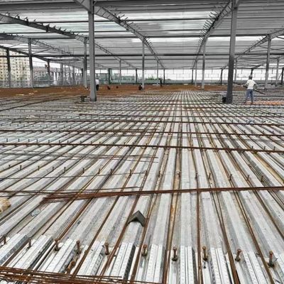 Q355B الهيكل الصلب لمستودع بناء ورشة العمل