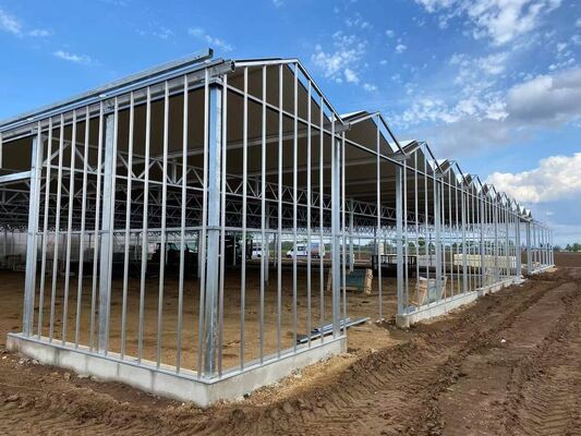 دفيئة زجاجية سياحية فينتشاو - دفيئة زراعة خضروات على نطاق واسع