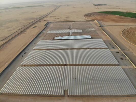 الاستخدام الزراعي للزراعة، حديقة زجاجية