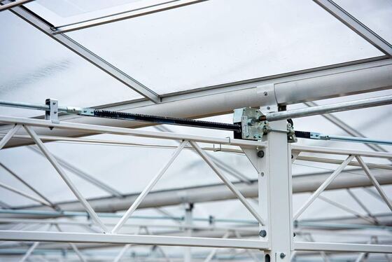 الاستخدام الزراعي للزراعة، حديقة زجاجية