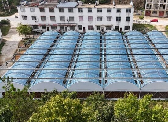 دفيئة من الفيلم البولي إيثيلين المتواصل المستخدمة لزيادة إنتاج الخضروات وتسريع عملية نضج الخضروات