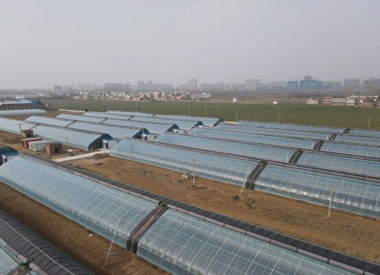 دفيئة من الفيلم البولي إيثيلين المتواصل لزرع الزهور عالية الجودة