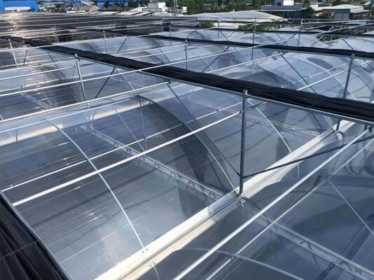 دفيئة زجاجية سياحية في ونلو - دفيئة لزراعة الفواكه على نطاق واسع